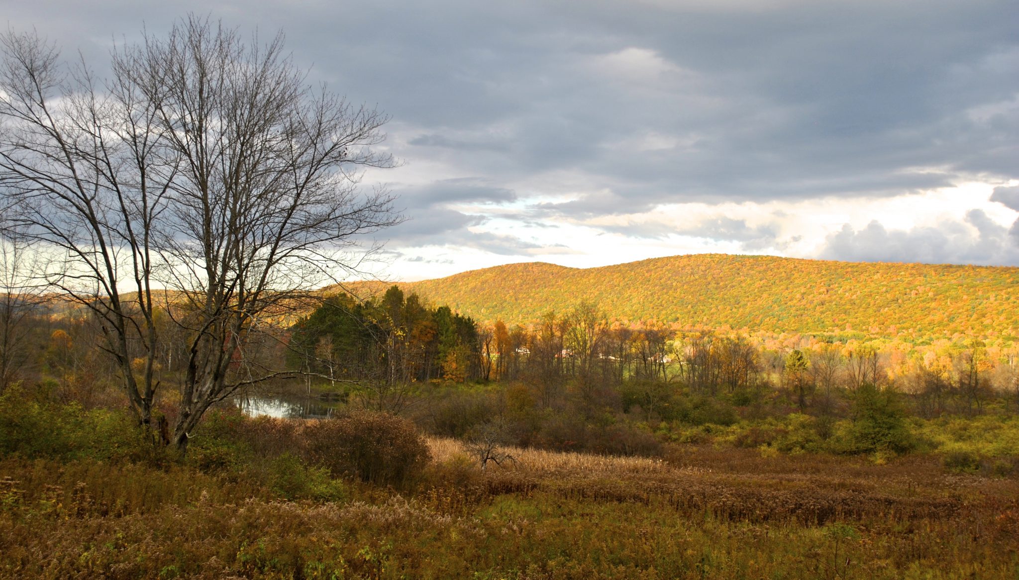 Ohio and Tennessee Land for Sale SDP Land